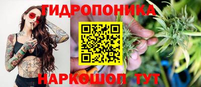 ПСИЛОЦИБИНОВЫЕ ГРИБЫ Кунгур