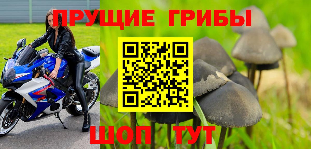 Галлюциногенные грибы мицелий  Галлюциногенные грибы ЛСД  Вход с VPN  Железноводск 
